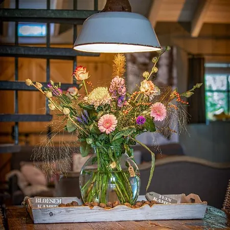 De Steltenberg In De Betuwe