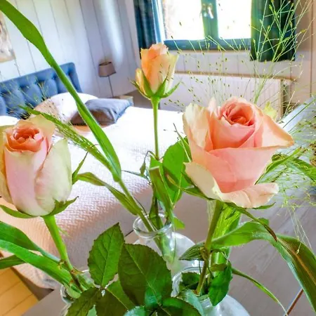 De Steltenberg In De Betuwe *