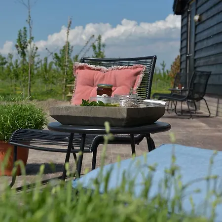 De Steltenberg In De Betuwe Holiday home *