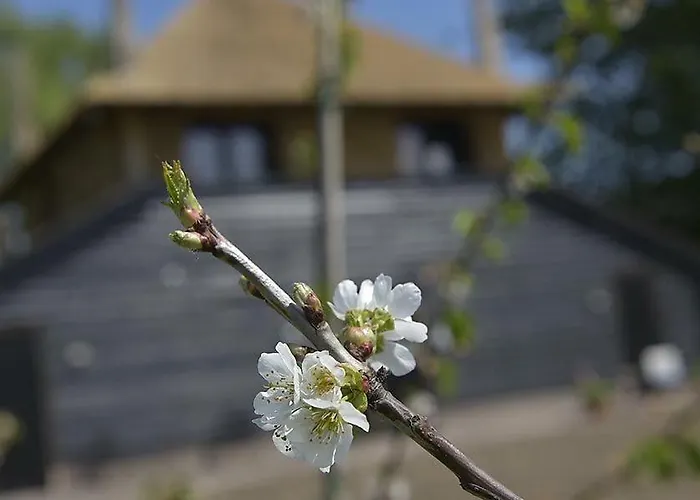 De Steltenberg In De Betuwe * Zoelen